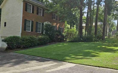 Photo of James T.'s yard after getting lawn care in Marietta, GA