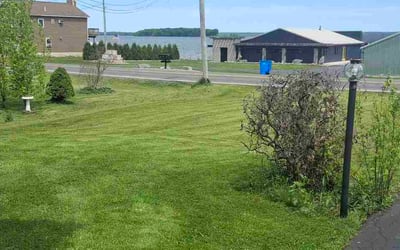 Photo of Laura M.'s yard after getting lawn care in Lafayette, CO