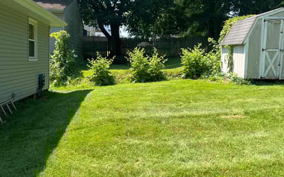 Photo of Kenneth J.'s yard after getting lawn care in Plano, TX