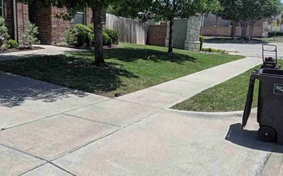 Photo of Cameron A.'s yard after getting lawn care in Fort Worth, TX