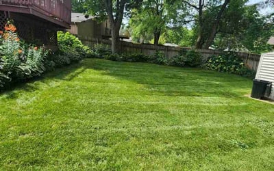 Photo of Letha W.'s yard after getting lawn care in Rockford, IL