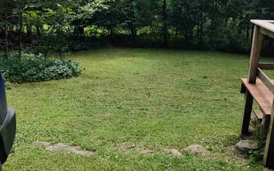 Photo of Jeannine S.'s yard after getting lawn care in Exeter, NH