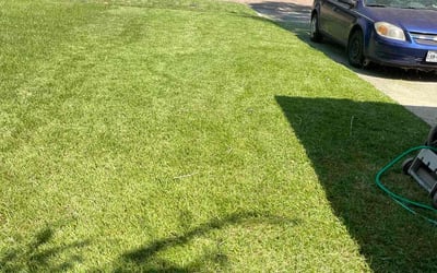 Photo of Tanya T.'s yard after getting lawn care in Niles, IL