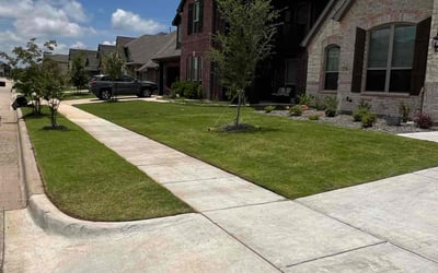 Photo of Leland C.'s yard after getting lawn care in Alexandria, VA