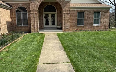 Photo of Vanessa S.'s yard after getting lawn care in Affton, MO