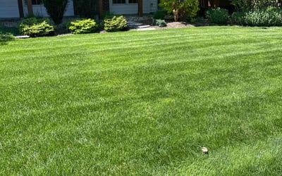 Photo of La'Kesha H.'s yard after getting lawn care in Crystal Lake, IL