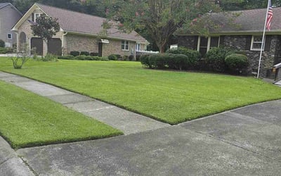 Photo of Darryl G.'s yard after getting lawn care in Woodruff, SC