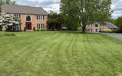 Photo of Jermaine F.'s yard after getting lawn care in Cheektowaga, NY