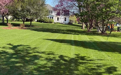 Photo of Rita R.'s yard after getting lawn care in Bettendorf, IA