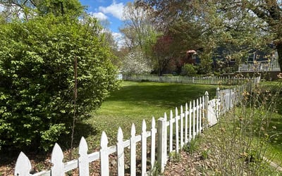 Photo of Felicia W.'s yard after getting lawn care in Windsor, CT