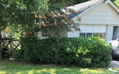 Photo of Chelle S.'s yard after getting lawn care in Melrose, MA