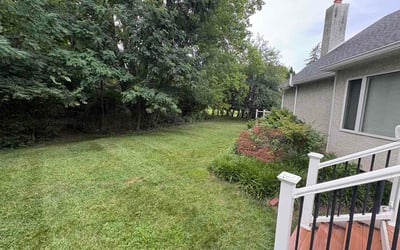 Photo of Renee L.'s yard after getting lawn care in Manlius, NY