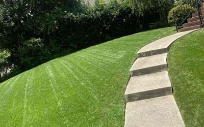 Photo of Paul S.'s yard after getting lawn care in Birmingham, AL