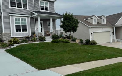 Photo of Josefine D.'s yard after getting lawn care in Southport, NC