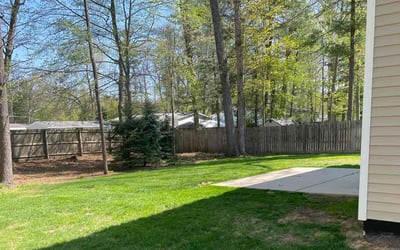 Photo of Sharon W.'s yard after getting lawn care in Grand Haven, MI