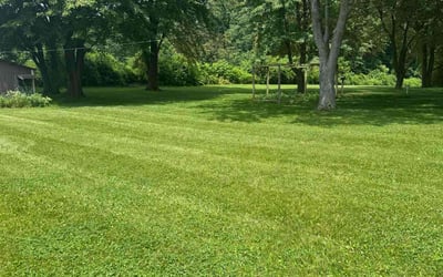 Photo of Jordan F.'s yard after getting lawn care in Clayton, NC