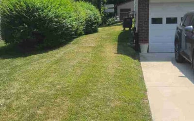Photo of Michael O.'s yard after getting lawn care in Natrona Heights, PA