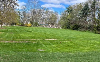 Photo of Abdul F.'s yard after getting lawn care in Rochester Hills, MI