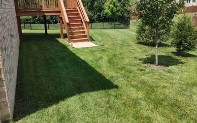 Photo of James C.'s yard after getting lawn care in Mount Pleasant, TN