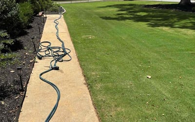 Photo of Jason B.'s yard after getting lawn care in Richmond, VA