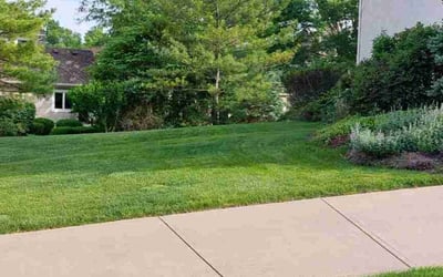 Photo of Joonsun P.'s yard after getting lawn care in Dublin, OH