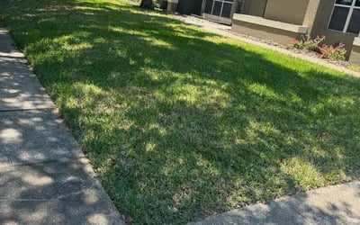 Photo of Joseph B.'s yard after getting lawn care in Gainesville, FL