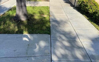 Photo of Tammie C.'s yard after getting lawn care in Hacienda Heights, CA