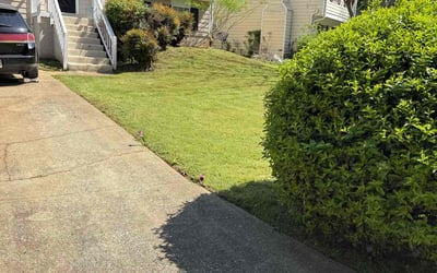 Photo of Shaylene R.'s yard after getting lawn care in Stone Mountain, GA