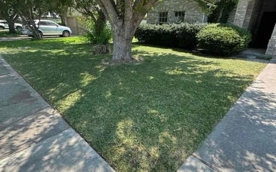 Photo of Michael I.'s yard after getting lawn care in Fenton, MO