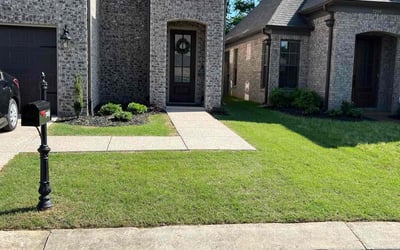 Photo of Yingyan D.'s yard after getting lawn care in Cordova, TN