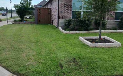 Photo of Christian B.'s yard after getting lawn care in Spartanburg, SC