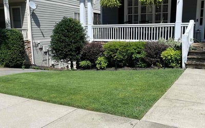 Photo of Sarah B.'s yard after getting lawn care in Atlanta, GA