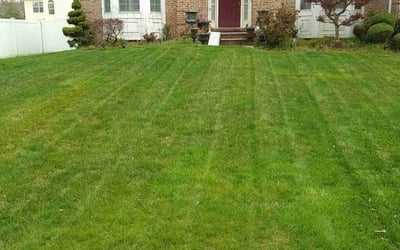 Photo of Nicholas A.'s yard after getting lawn care in Bayville, NJ
