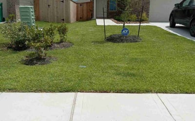 Photo of Marcos C.'s yard after getting lawn care in New Caney, TX