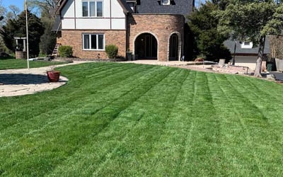 Photo of Lorraine J.'s yard after getting lawn care in Willowbrook, IL