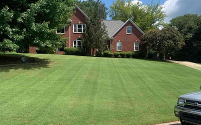 Photo of Randy R.'s yard after getting lawn care in Trussville, AL