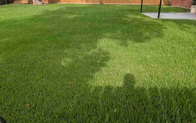 Photo of Alfonzo J.'s yard after getting lawn care in Powder Springs, GA