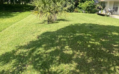 Photo of Carol J.'s yard after getting lawn care in Edgewater, FL