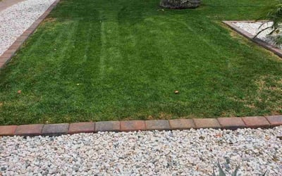 Photo of Sharon L.'s yard after getting lawn care in Phoenix, AZ
