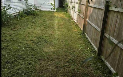 Photo of bruce z.'s yard after getting lawn care in Holyoke, MA