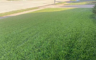 Photo of Antony S.'s yard after getting lawn care in Flower Mound, TX