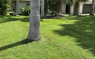 Photo of Michael N.'s yard after getting lawn care in Naples, FL