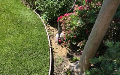 Photo of Megan W.'s yard after getting lawn care in Battle Ground, WA