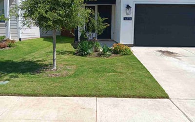 Photo of Erik B.'s yard after getting lawn care in Arlington, WA