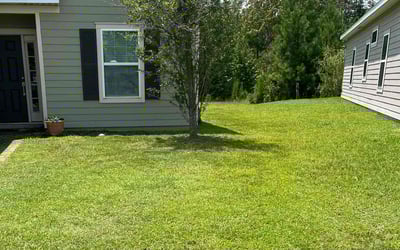 Photo of Charles P.'s yard after getting lawn care in Monterey, CA