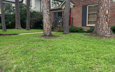 Photo of Deneise T.'s yard after getting lawn care in Houston, TX