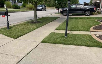 Photo of Abby C.'s yard after getting lawn care in Union, KY