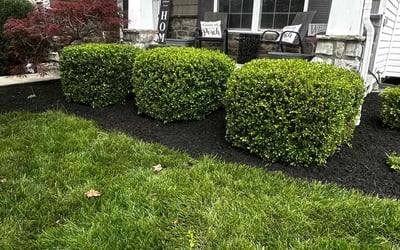 Photo of Sharon S.'s yard after getting lawn care in Blacklick, OH