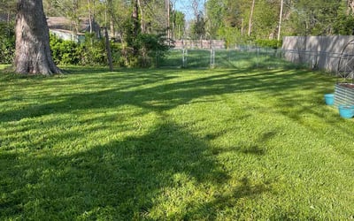 Photo of Laura C.'s yard after getting lawn care in Kansas City, MO