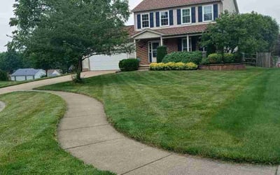 Photo of Karen P.'s yard after getting lawn care in Rogers, AR
